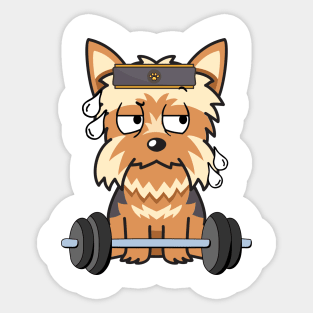 Funny yorkshire terrier is exercising Sticker